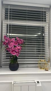 Cloud Quarters II - 6