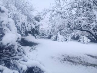 eMkhosini Royal Sun - 8