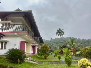 Karlad Lake Palace Waterfront Resort - 5