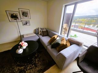Nice apartment in the center of Trysil 403 - 8
