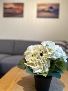 City apt with 2 bedrooms and kitchen - Hydrus - 5