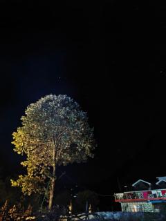 Nirvana River Nest - 0