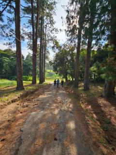 Cabana Rota do Vinho - 9