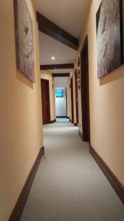 Balkan Lodge Oxford - Oxford - 4