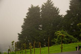 Cabañas La Montañuela - 1