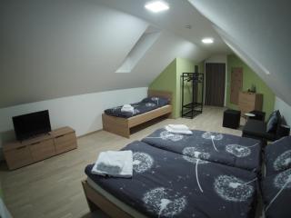 Apartmán P7 Horní Mísečky - 5