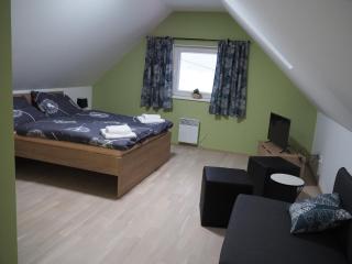 Apartmán P7 Horní Mísečky - 0