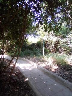 Malombo Selous Forest Camp - 5