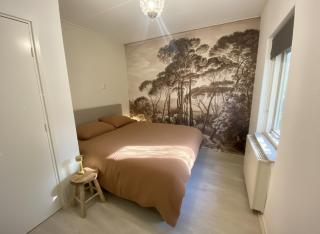 Cozy forest house ideal for relaxing - 2