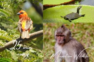 Sky View Penthouse - 3