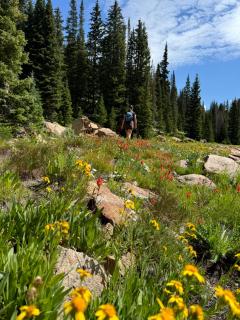 Alders 854 By SummitCove Lodging - 1