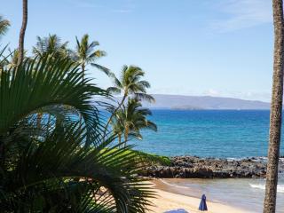 Polo Beach Club 102 - 5