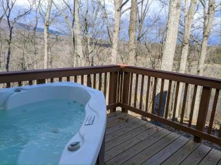Eaglet Cabin near the Shenandoah River - 9