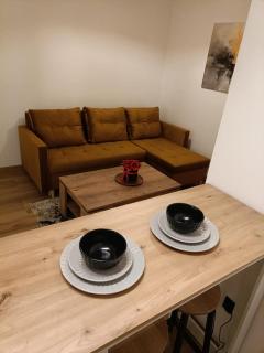 Apartament w Słupcu na Radkowskiej - 7