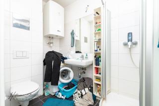 Helles Garten-Apartment in Graz - 3