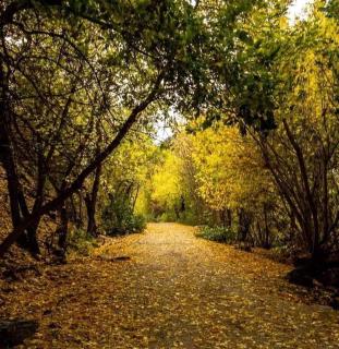 B&B Nonna Iolanda - 0