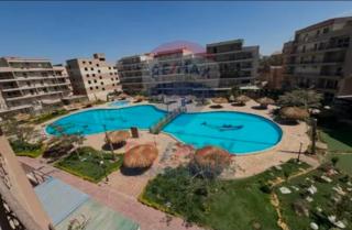 Egyptian Grand Museum Apartment - 2