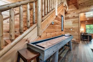 A Bearadise Splash - 1