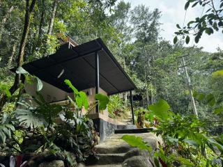 Rincon de la Sierra Minca - 1