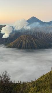 Homestay Rengganis Tengger - 1