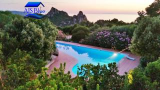 Pool Green House - 7