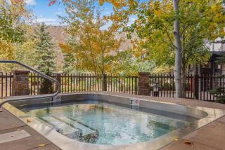 Alpine Elegance Premier Lodging In Snowmass - 9