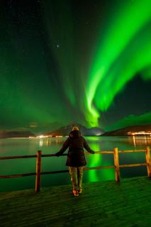 Lofoten sea view Rorbu -Unique hideaway in the heart of Lofoten - 2