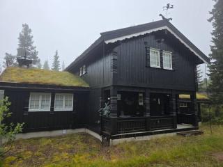 Cozy Cabin Retreat in Trysil, Norway for Families - 9