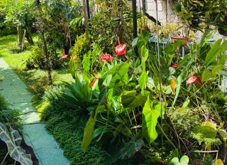 Casa Flory-El jardin secreto- - 6