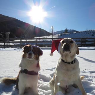 Lunas Hästgård - 1