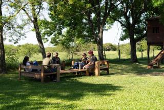 Yellow Cardinal Lodge - 7