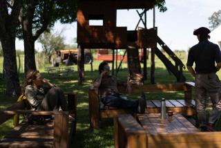 Yellow Cardinal Lodge - 4