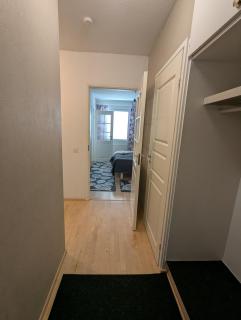 Spacious two-room apartment by the lake - 2