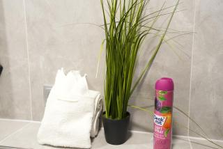 Wohnung IA - Elegante Mini-Suite - 2