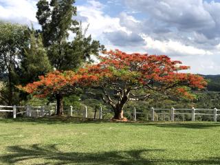 Rancho Topo da Montanha, 60 km de Belo Horizonte - 8