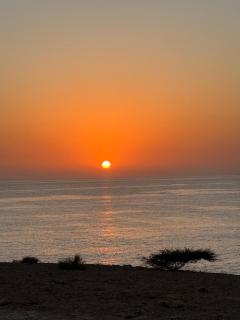 Flamingo Caravan - 6