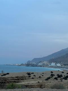 Flamingo Caravan - 7