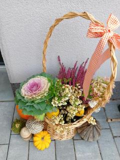 Apartamenty Okrętowa 23 Bolek Lolek - 6