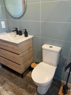 Magnifique maison neuve Mimizan plage proche océan - 3