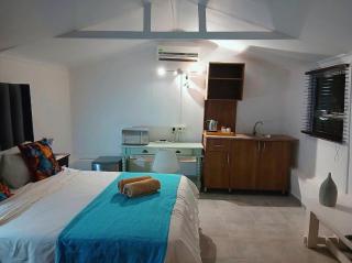 Aero Garden Ensuite - 5