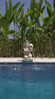 Brand New ! Villa Bella Lovina - Private Pool - Rice Field View - 1