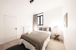 Comfortable Urban Retreat for 6 in Central Antwerp - 1