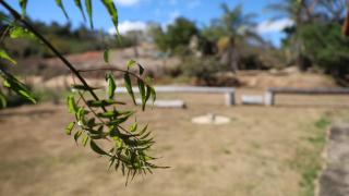 Canto das Árvores - Nova União MG - 7