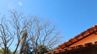 Canto das Árvores - Nova União MG - 1