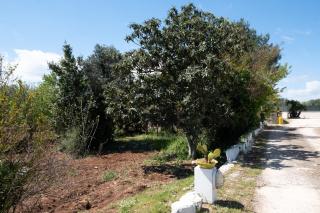 BIANCA LAMIA Ostuni - 6