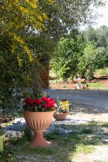 BIANCA LAMIA Ostuni - 5