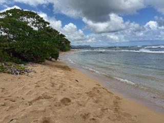 Private Beachfront Ocean View with Resort Amenities! - 9