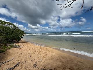 Private Beachfront Ocean View with Resort Amenities! - 1