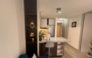 Parques I Movistar Arena I Estacionamiento - 8