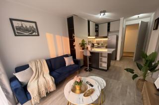 Parques I Movistar Arena I Estacionamiento - 0